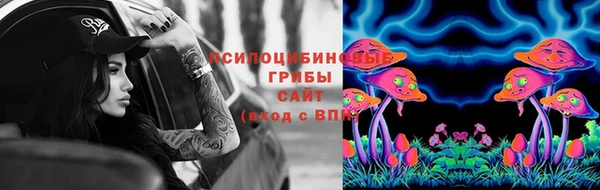 круглые Аркадак