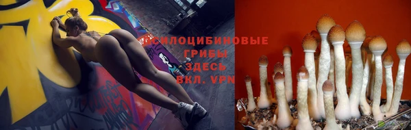 дмт Арсеньев