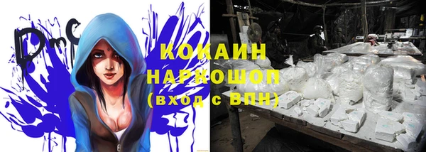 круглые Аркадак